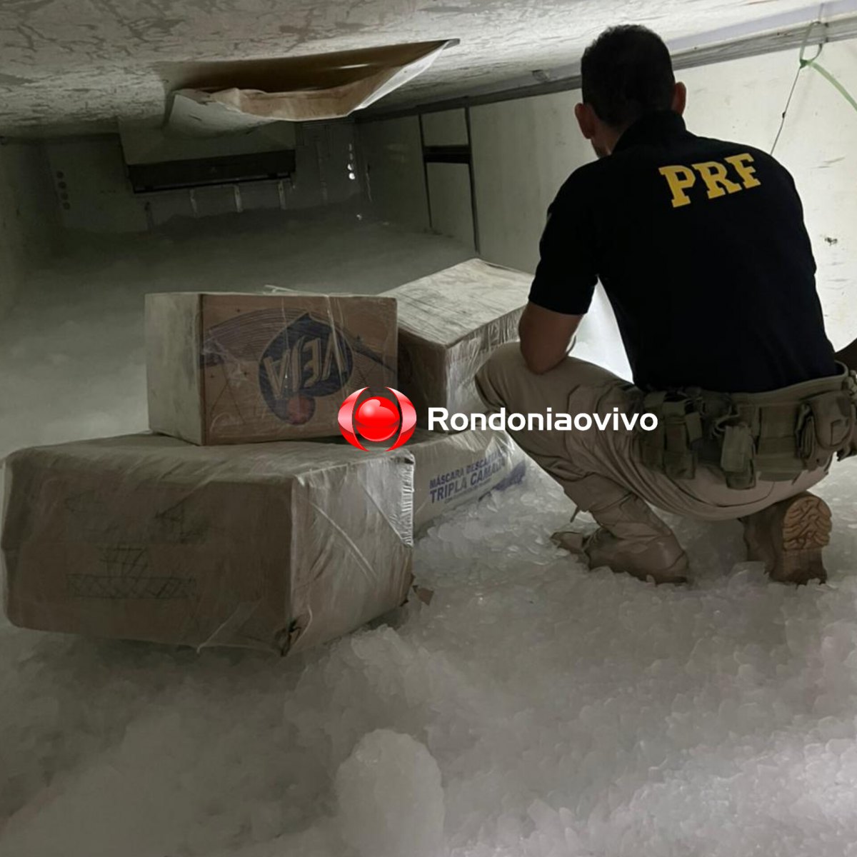 URGENTE: Denarc e PRF prendem traficante com quase 180 kg de droga em caminhão de peixe