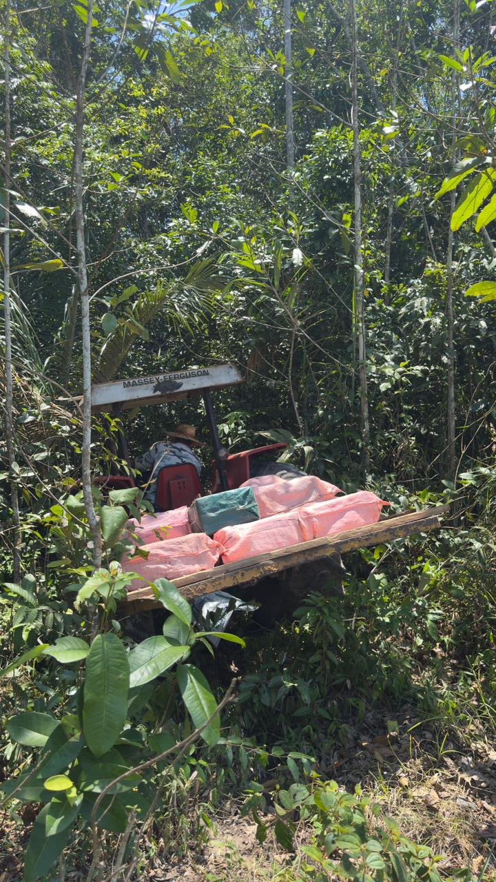 EM RONDÔNIA: Quase uma tonelada de cocaína é apreendida em pista de pouso clandestina