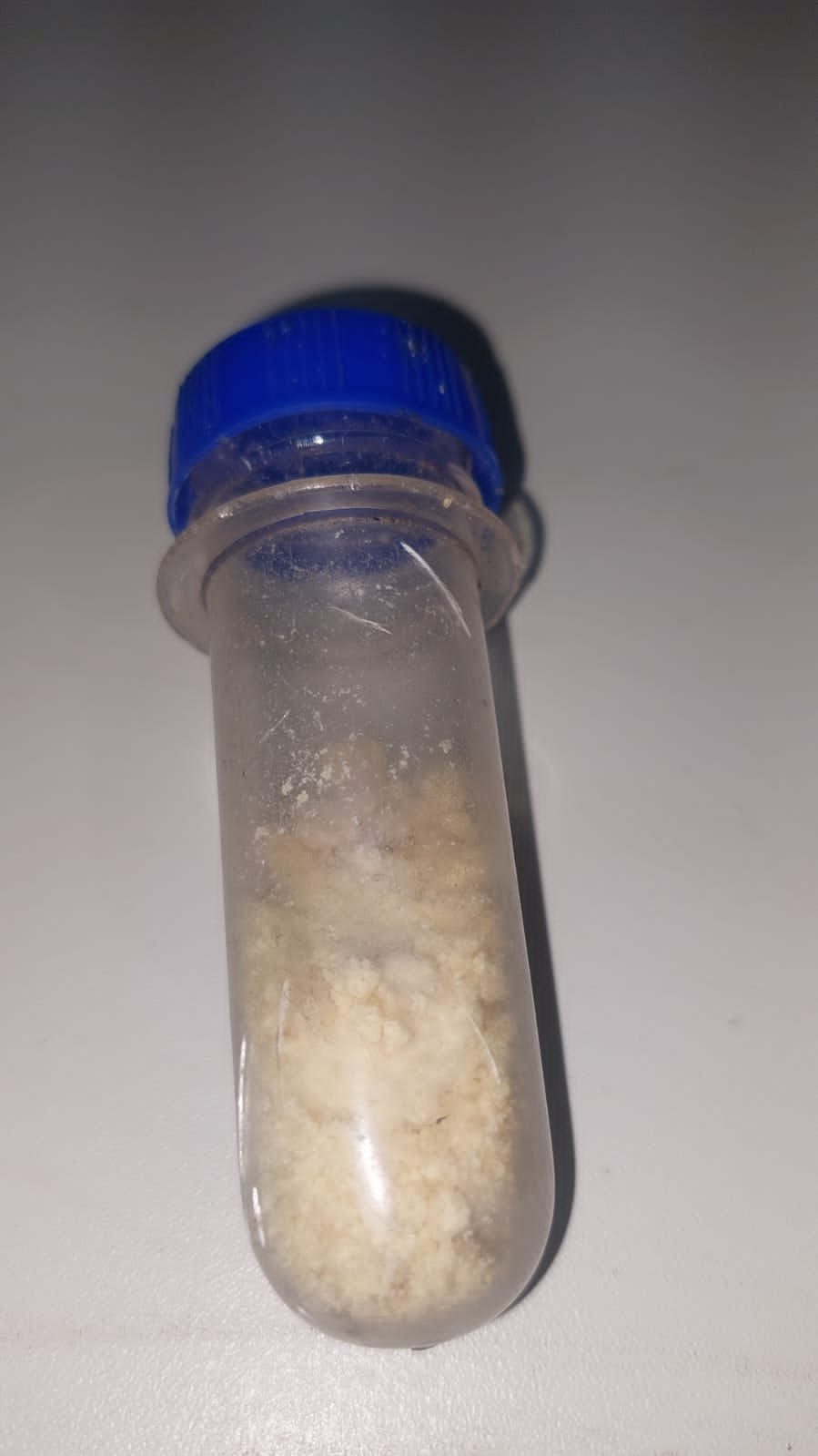 VULGO 'DH do CV': Equipe do sargento Machado prende acusado de tráfico ao lado da rodoviária 