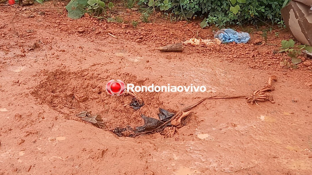 ALARME FALSO: Ossada encontrada em cova é de animal, diz perícia