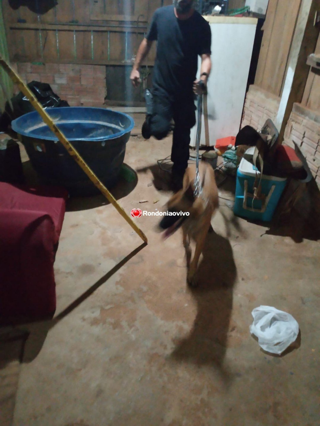 VÁRIAS DENÚNCIAS: Denarc prende 'Gordo' que usava bar de fachada para vender cocaína