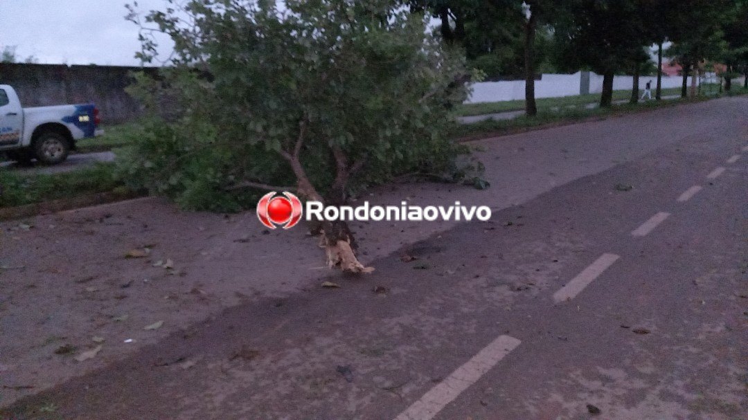 TRAGÉDIA: Identificada vítima fatal de acidente automobilístico na zona Leste