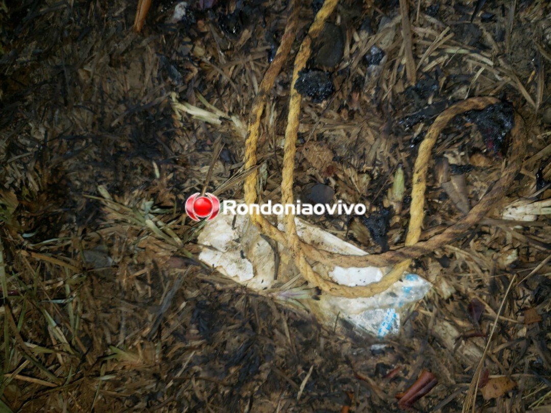 BÁRBARO: Corpo de mulher é encontrado carbonizado