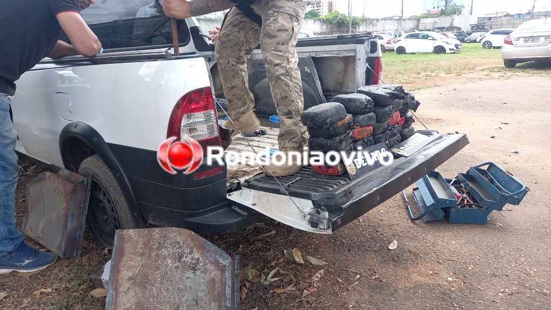 VÍDEO: Denarc apreende carro 'recheado' de cocaína em transportadora
