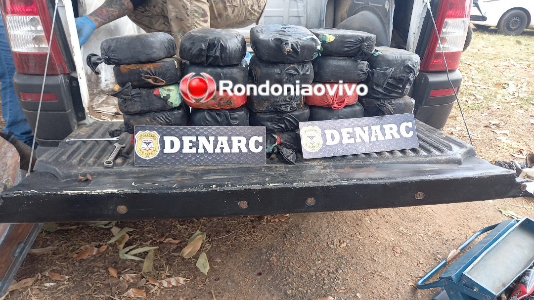 VÍDEO: Denarc apreende carro 'recheado' de cocaína em transportadora