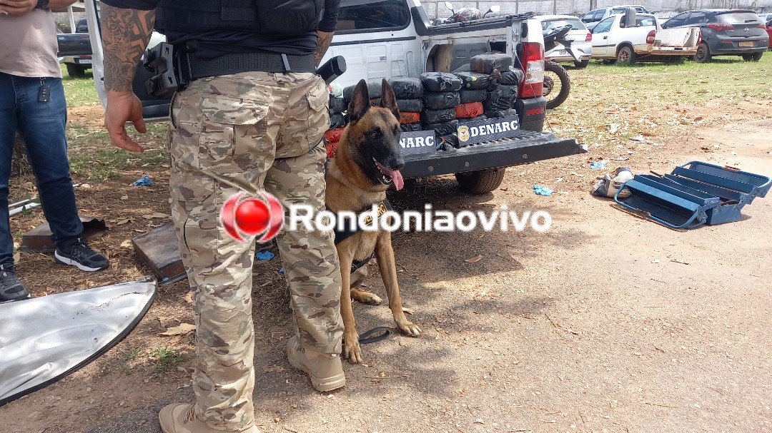 VÍDEO: Denarc apreende carro 'recheado' de cocaína em transportadora