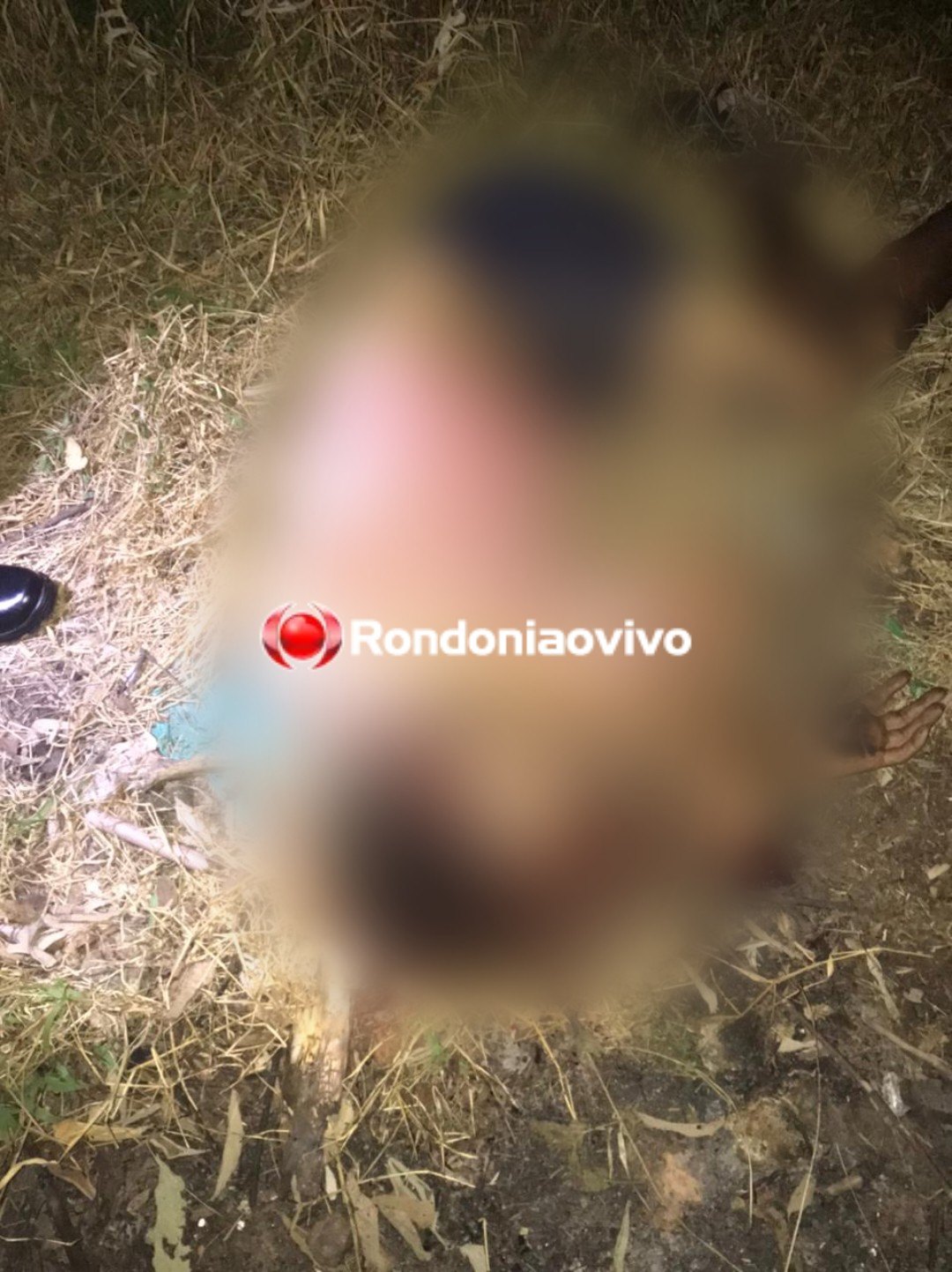 BRUTALIDADE: Homem é encontrado morto a pauladas na zona Sul