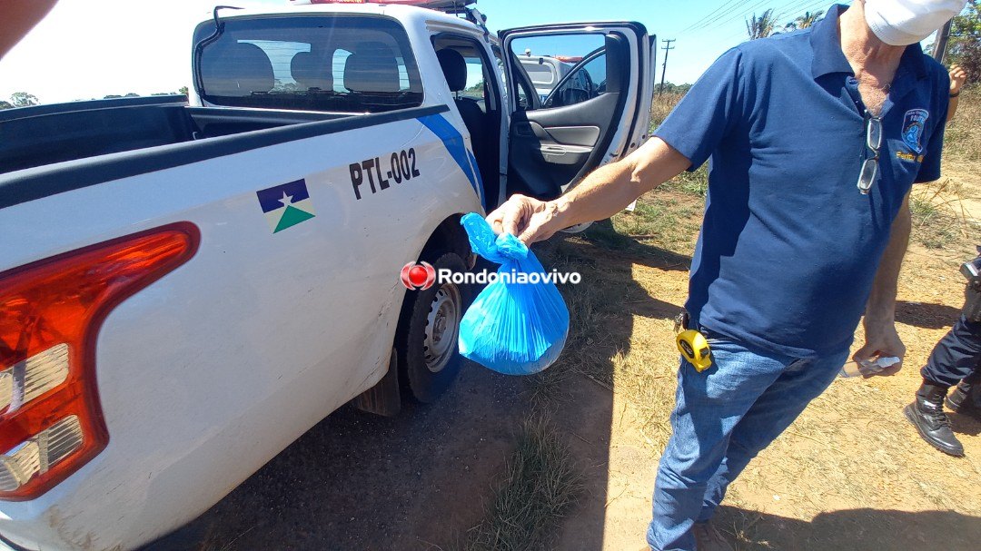 VÍDEO: Crânio humano é encontrado em fogueira às margens da BR-364