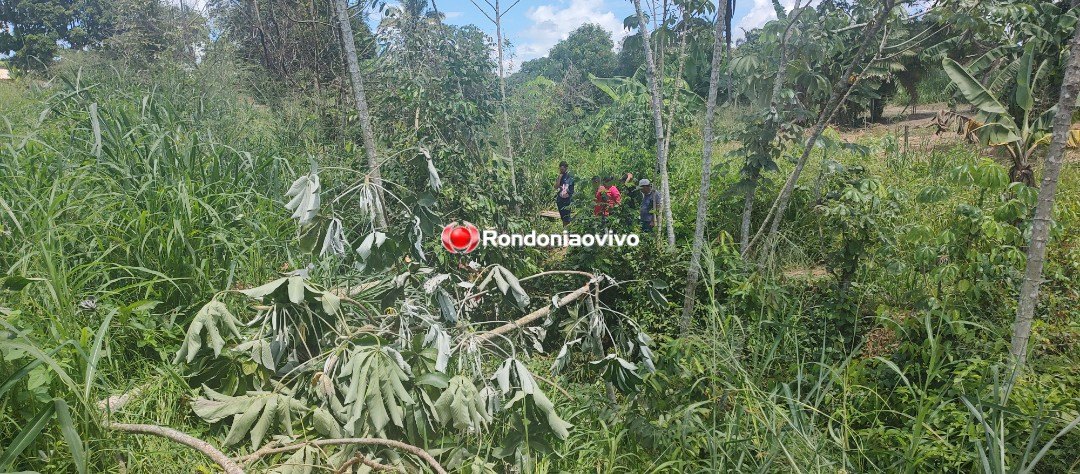 DESGOVERNADO: Motorista fica em estado grave após cair com veículo em córrego