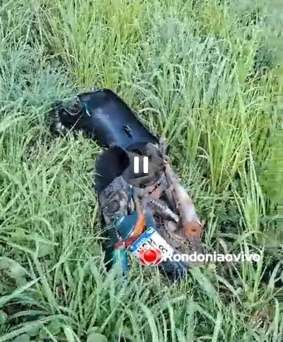 URGENTE: Casal tem pernas dilaceradas em gravíssimo acidente na BR-364