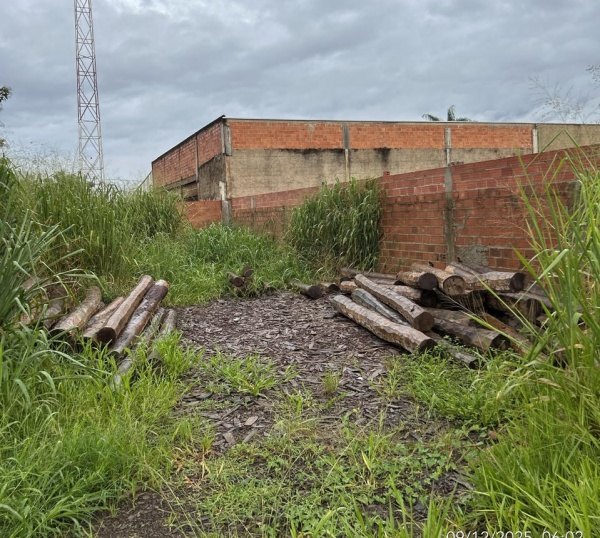 A&Ccedil;&Atilde;O CONJUNTA: PC do MT realiza opera&ccedil;&atilde;o em dep&oacute;sitos ilegais de madeiras em Rond&ocirc;nia