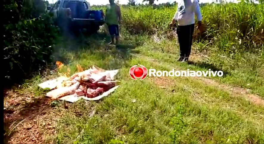 OPERAÇÃO: PM e Sedam flagram homens com armas e vários animais abatidos