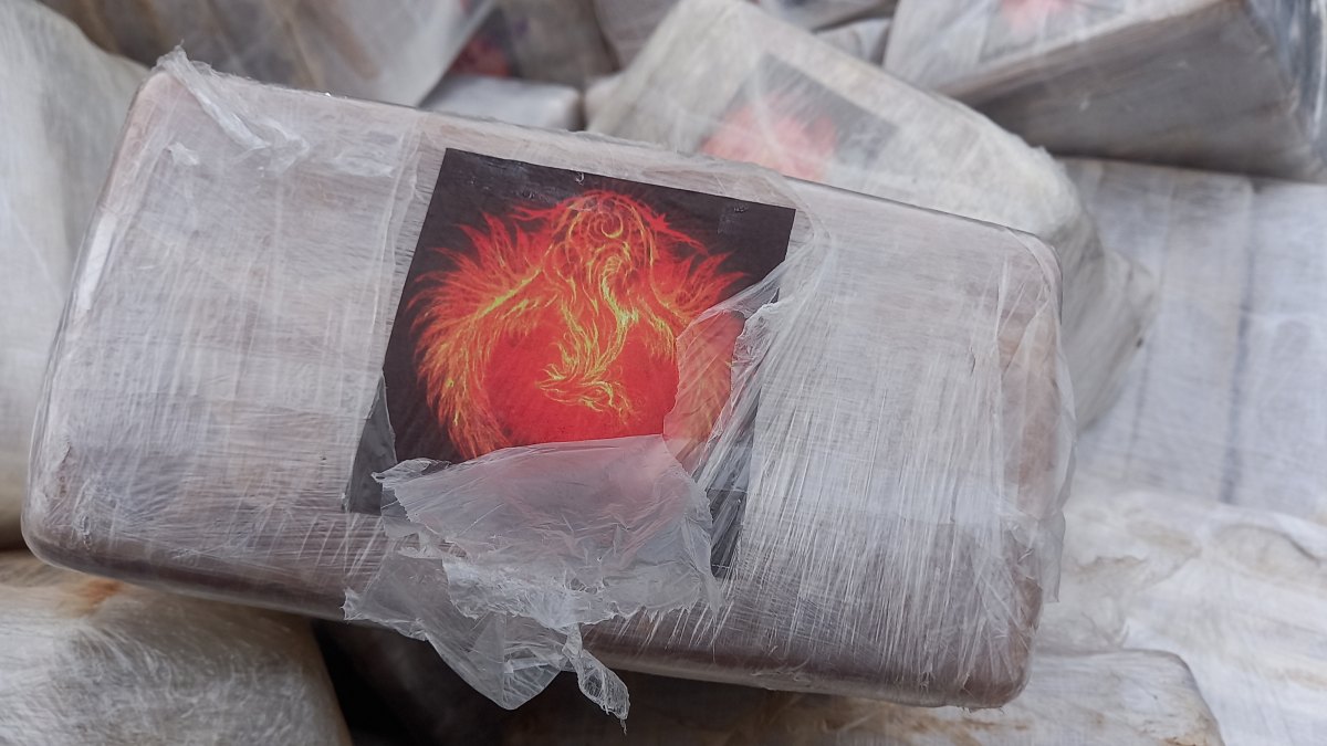 FISCALIZAÇÃO: PRF apreende quase meia tonelada de cocaína na BR-364