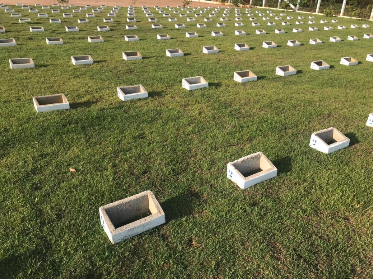 LANÇAMENTO: Cemitério-Parque Campo Santo Alto da Paz já opera com mil espaços