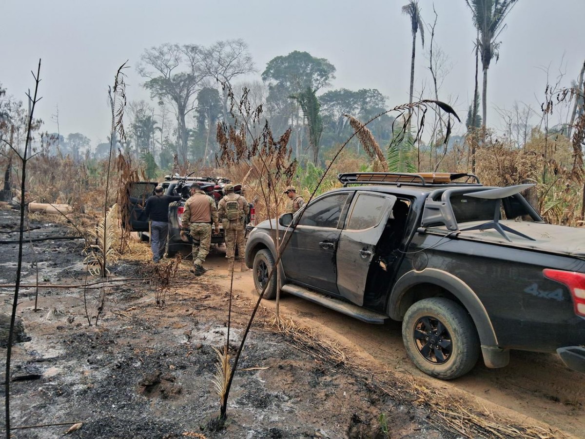 LAGE EM CHAMAS: PF faz operação contra grilagem e incêndio criminoso em terra indígena