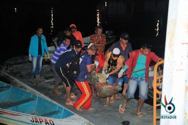 NO AMAZONAS: Corpo de empresário desaparecido é encontrado em barriga de jacaré