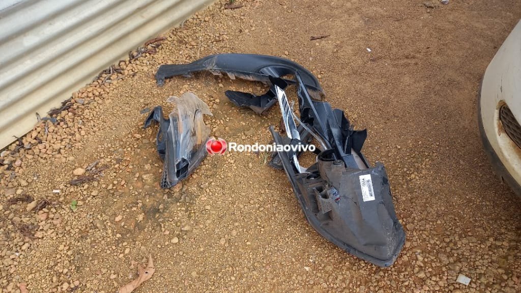 ASSISTA: Gato atravessa avenida na capital e causa acidente com caminhonete