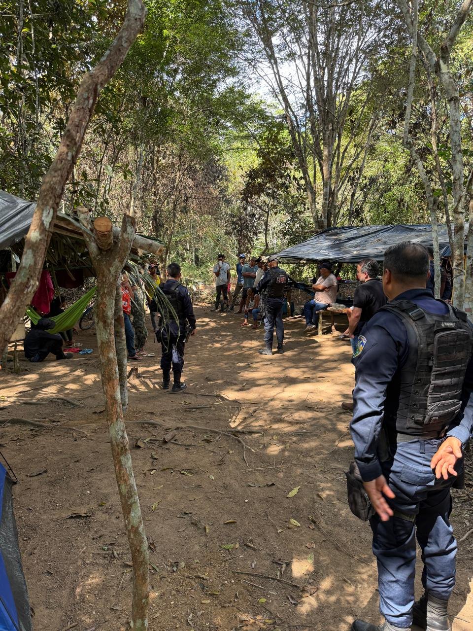 VÍDEO: Operação identifica ocupação irregular e danos ambientais em propriedade rural 