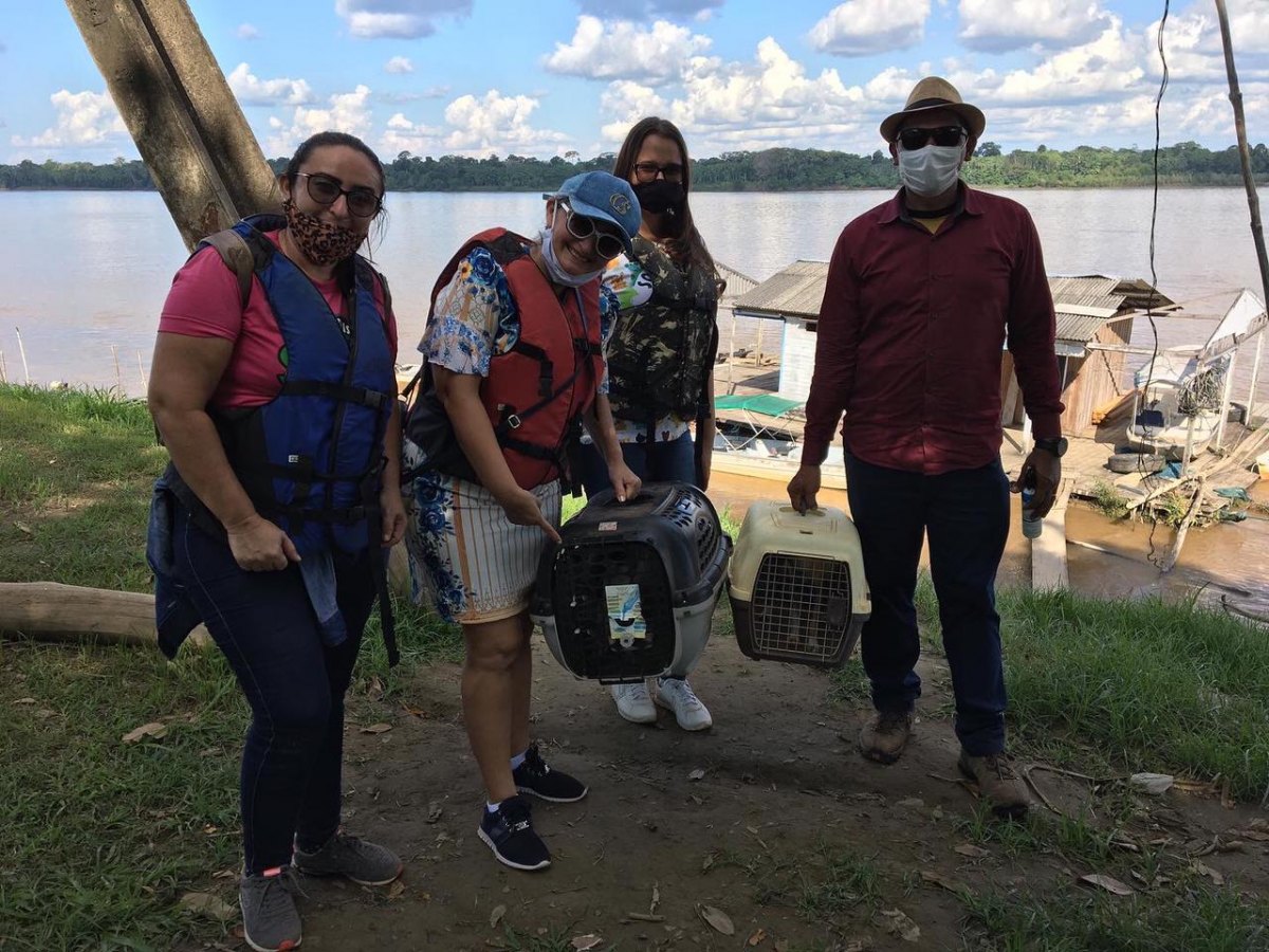 VEREADORA: Márcia Socorristas Animais reafirma compromisso com comunidade de São Carlos