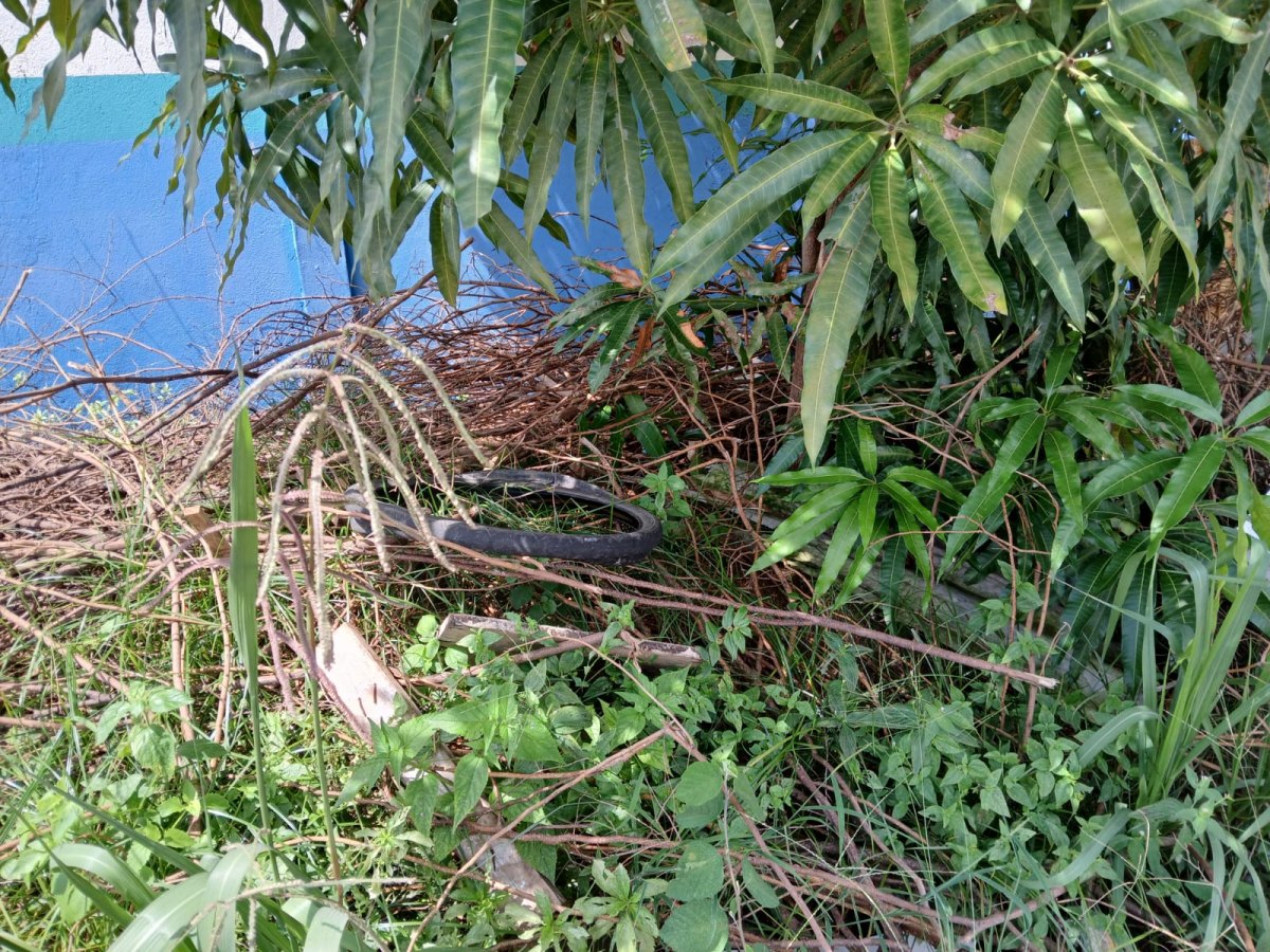 IMUNDÍCIE: Entorno da EEEMTI Brasília enfrenta problemas de zeladoria