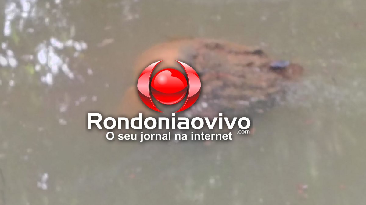 AMIGOS EXECUTADOS: Corpo foi partido ao meio e criminosos amarraram pedras para não boiar em córrego