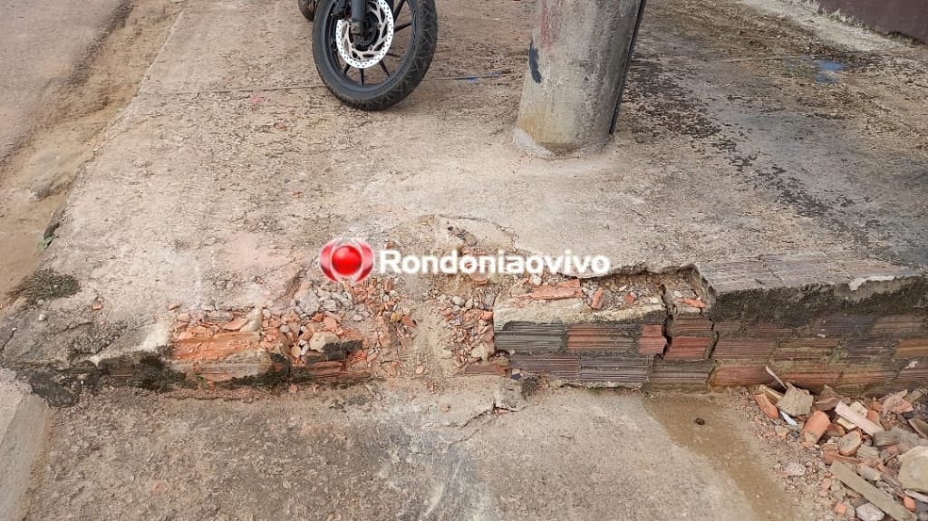 ASSISTA: Gato atravessa avenida na capital e causa acidente com caminhonete