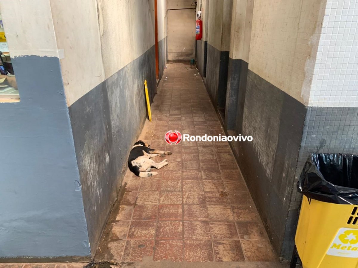 SUJEIRA E BAGUNÇA: Rodoviária de Porto Velho segue sendo motivo de vergonha e chacota