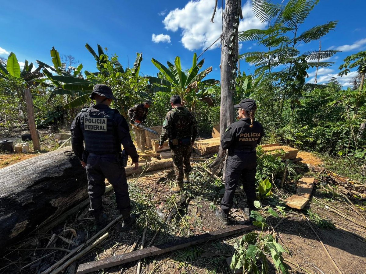 LAGE EM CHAMAS: PF faz operação contra grilagem e incêndio criminoso em terra indígena