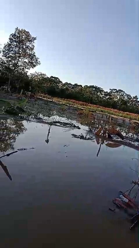 NILTON SOUZA: Vereador solicita providências urgentes da Defesa Civil para comunidades atingidas por enchentes
