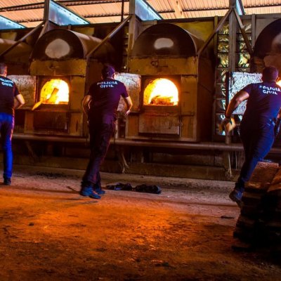 INCINERAÇÃO: Polícia Civil queima quase uma tonelada de drogas apreendidas só em 2020