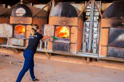 INCINERAÇÃO: Polícia Civil queima quase uma tonelada de drogas apreendidas só em 2020