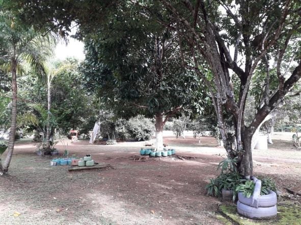 OPORTUNIDADE: Chácara à venda em Porto Velho; confira