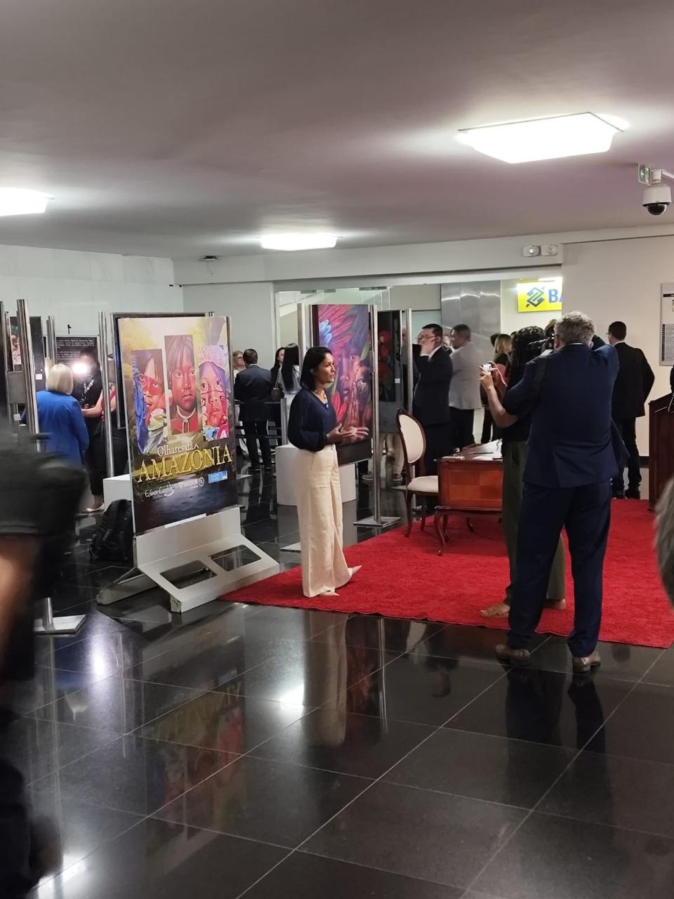 EDINA COSTA: Artista plástica rondoniense expõe no Senado e no TRF, em Brasília