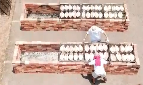 PISCICULTURA: Sebrae comemora a abrangência do II Festival do Tambaqui