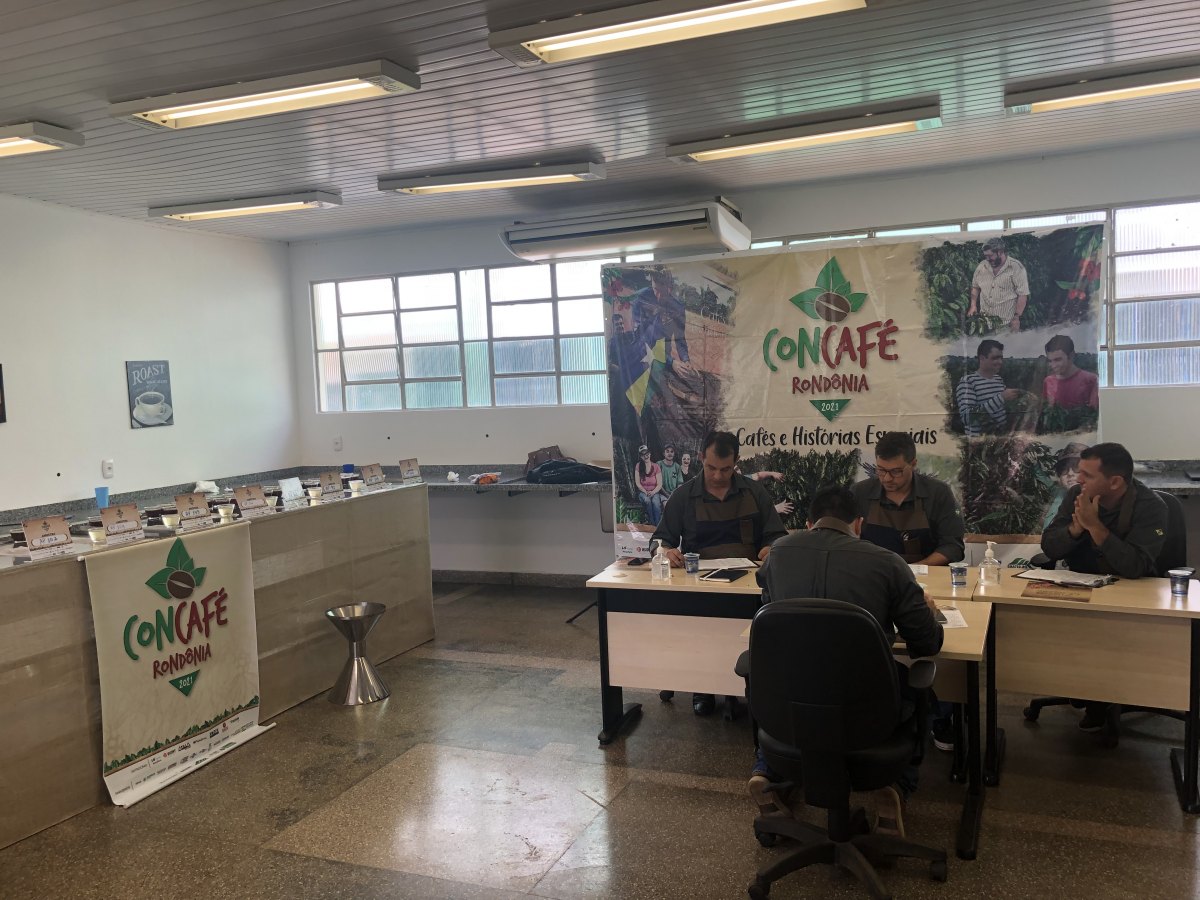 6º CONCAFÉ: Análises das amostras de cafés será feito no Ifro de Cacoal