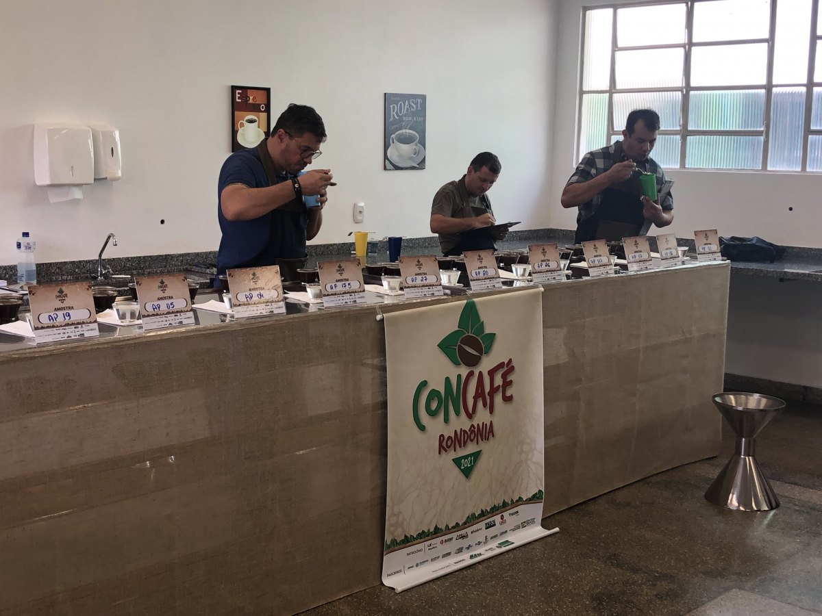 6º CONCAFÉ: Análises das amostras de cafés será feito no Ifro de Cacoal
