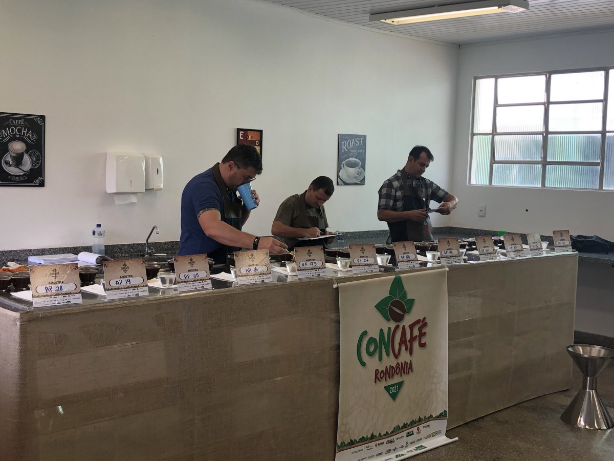 6º CONCAFÉ: Análises das amostras de cafés será feito no Ifro de Cacoal