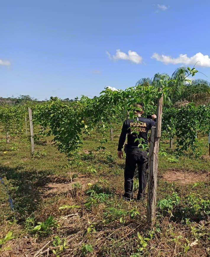 VENTRE LIVRE: PF faz operação para resgatar estrangeiros que trabalhavam de forma 'escrava'