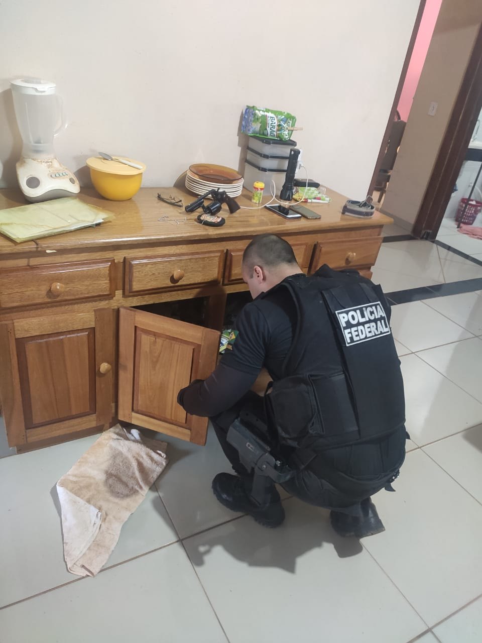 BERTHOLLETIA: PF faz operação para prender acusados de explorar madeira na Floresta Nacional Jacundá