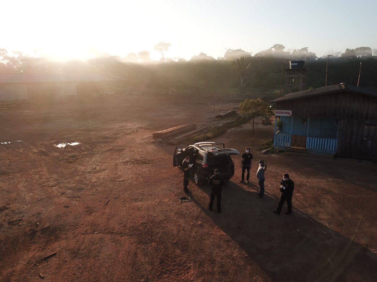 BERTHOLLETIA: PF faz operação para prender acusados de explorar madeira na Floresta Nacional Jacundá