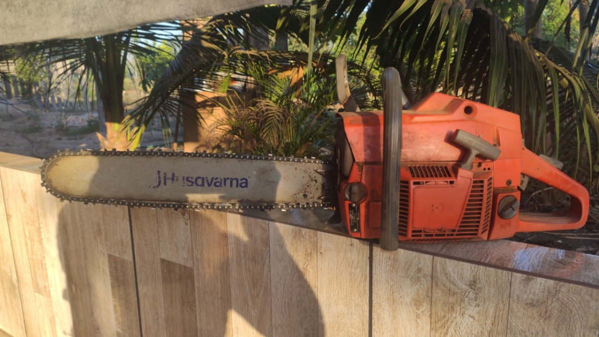 BERTHOLLETIA: PF faz operação para prender acusados de explorar madeira na Floresta Nacional Jacundá