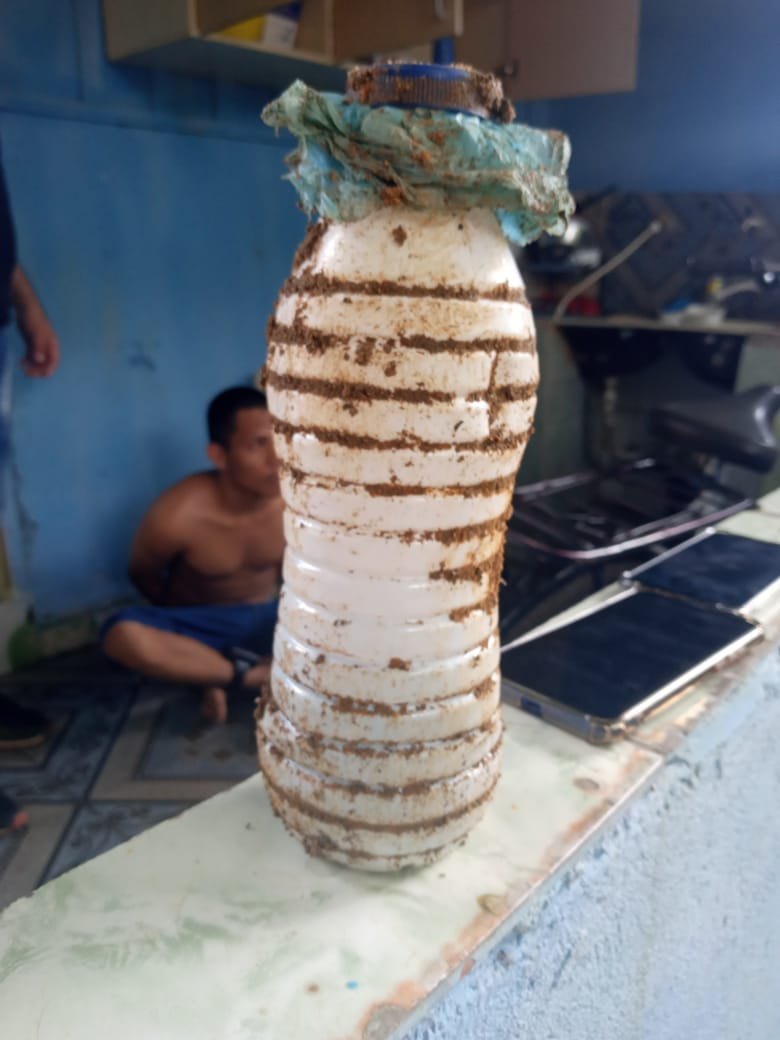 ENTERRADA: Denarc prende traficante com mais de 200 porções de cocaína em residência