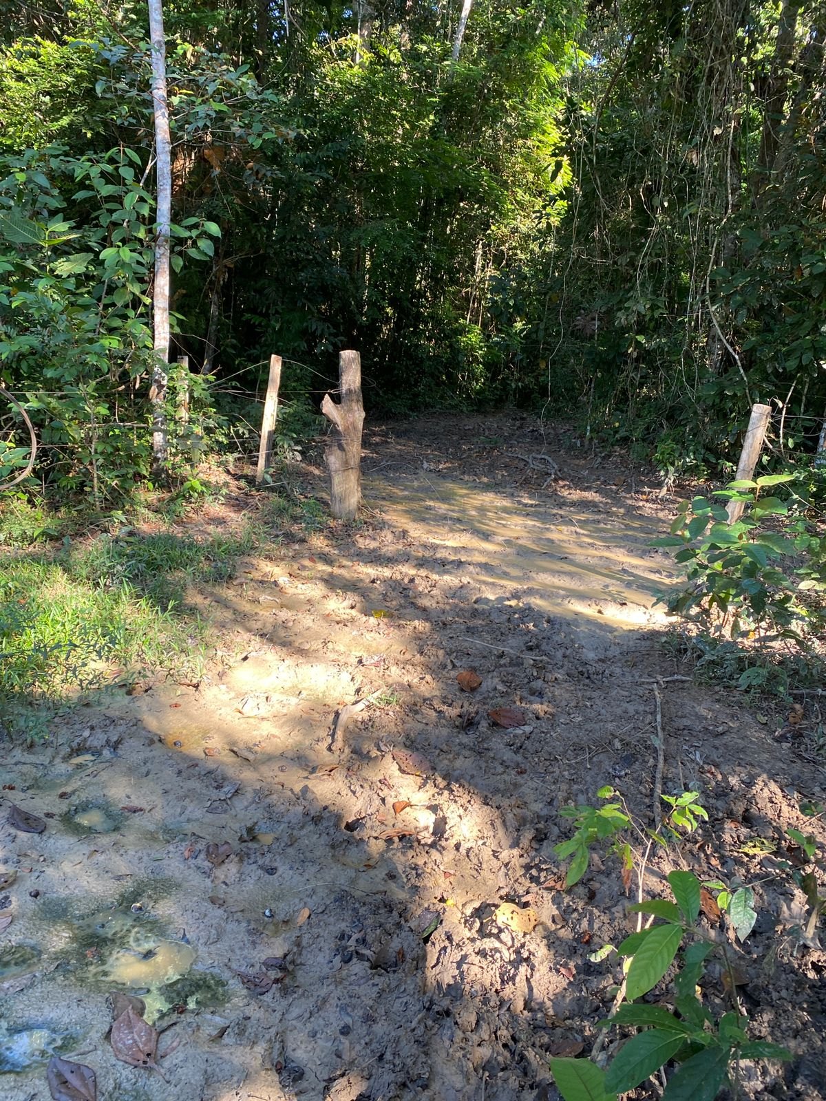 BRIGA POR TERRA: 1ª Delegacia de Homicídios prende acusado de assassinar homem a tiro