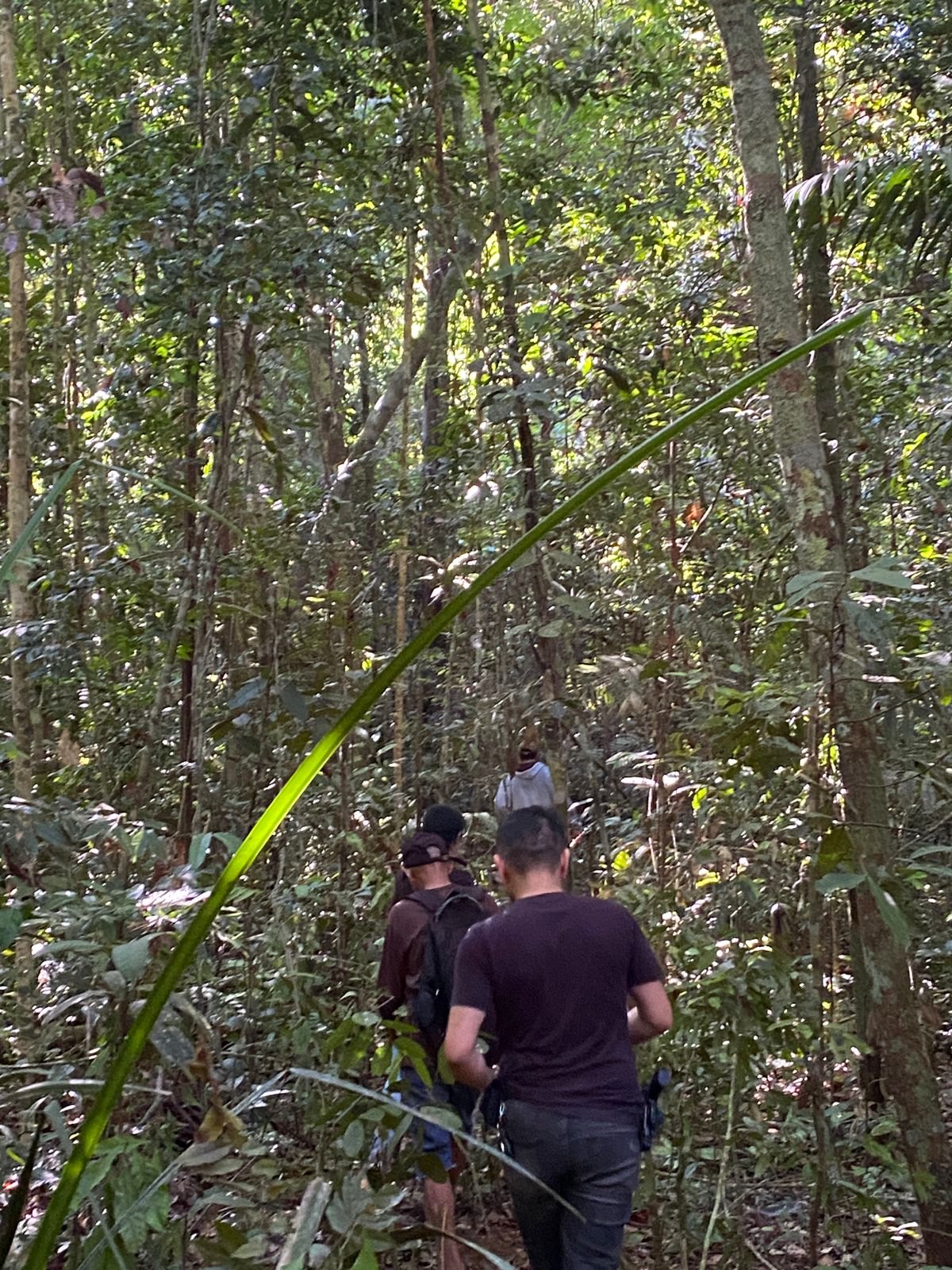 BRIGA POR TERRA: 1ª Delegacia de Homicídios prende acusado de assassinar homem a tiro