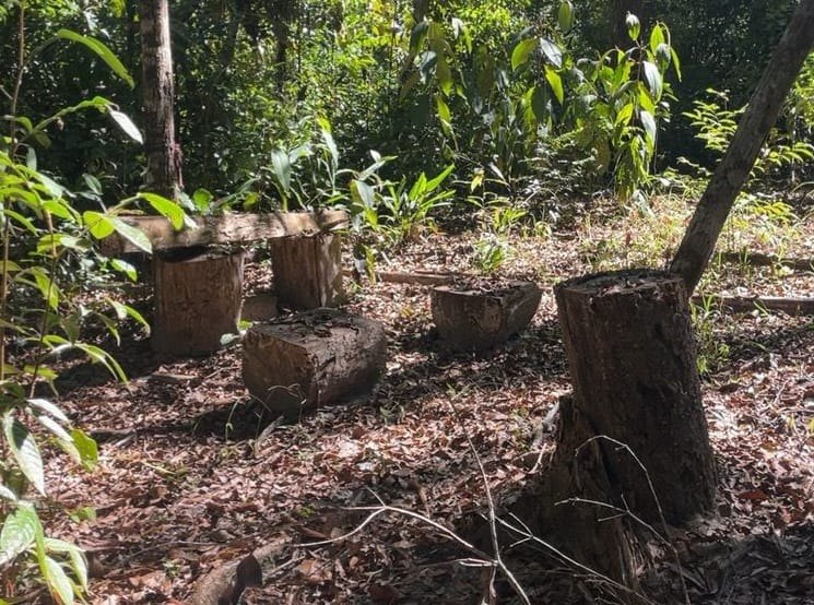 CRIMES AMBIENTAIS: PF e Ibama destroem trator durante operação em Terra Indígena 