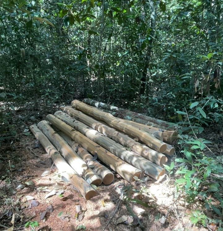 CRIMES AMBIENTAIS: PF e Ibama destroem trator durante operação em Terra Indígena 