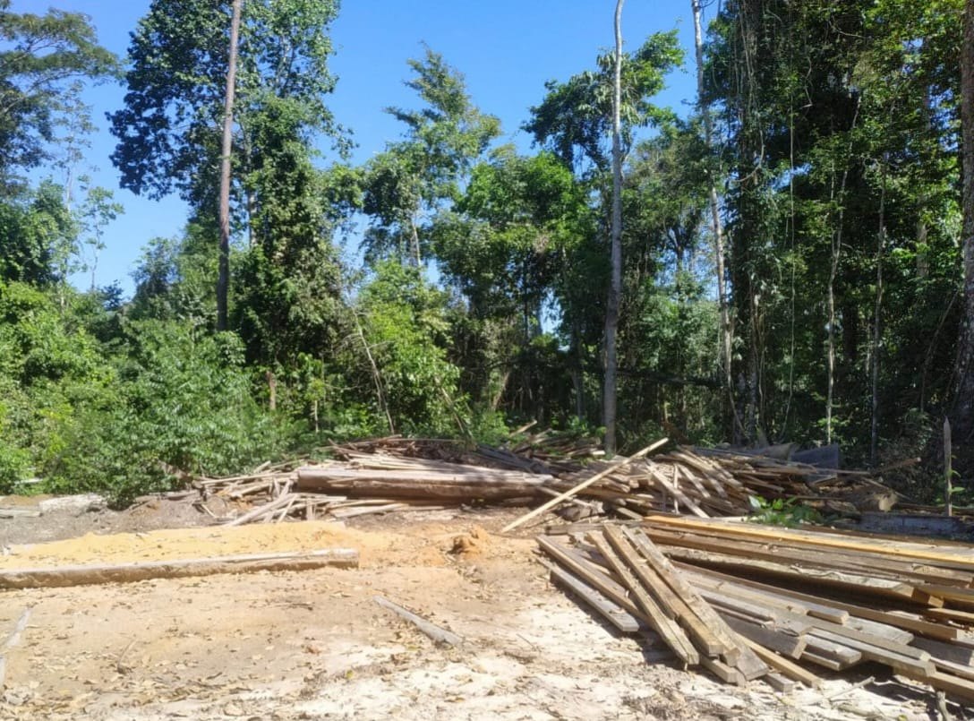 CRIMES AMBIENTAIS: PF e Ibama destroem trator durante operação em Terra Indígena 