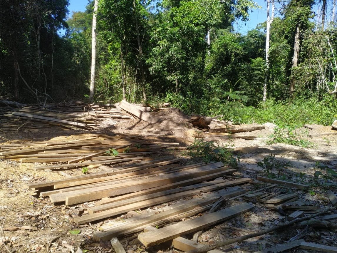 CRIMES AMBIENTAIS: PF e Ibama destroem trator durante operação em Terra Indígena 