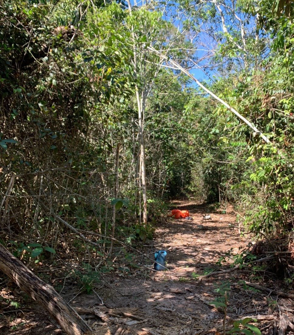 CRIMES AMBIENTAIS: PF e Ibama destroem trator durante operação em Terra Indígena 