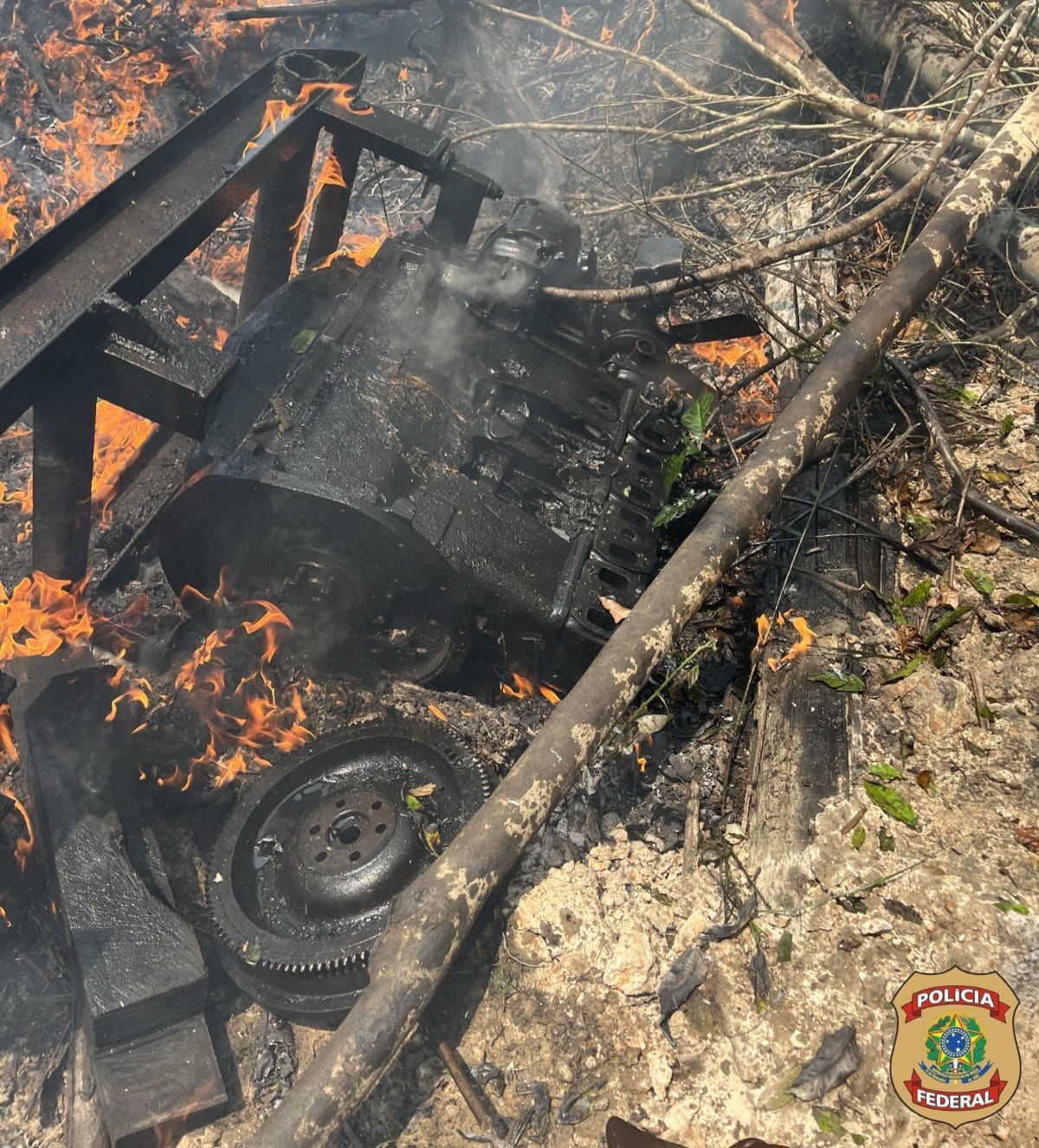 MAPINGUARI: PF e Ibama combatem garimpo ilegal em Parque Nacional 